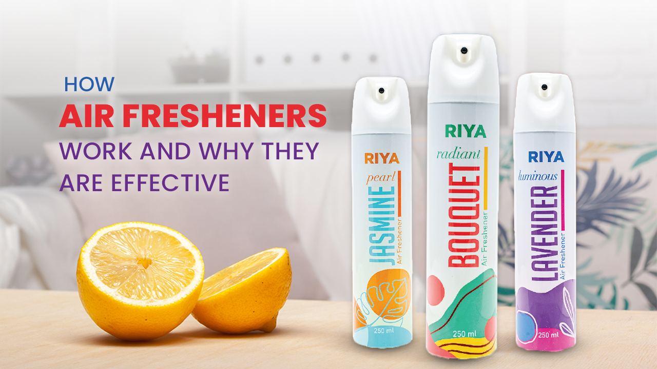The Science of Smell: How Air Fresheners Work and Why They're Effective